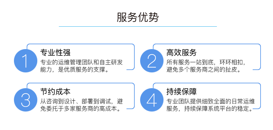 服务优势:专业性强、高效服务、节约成本、持续保障。