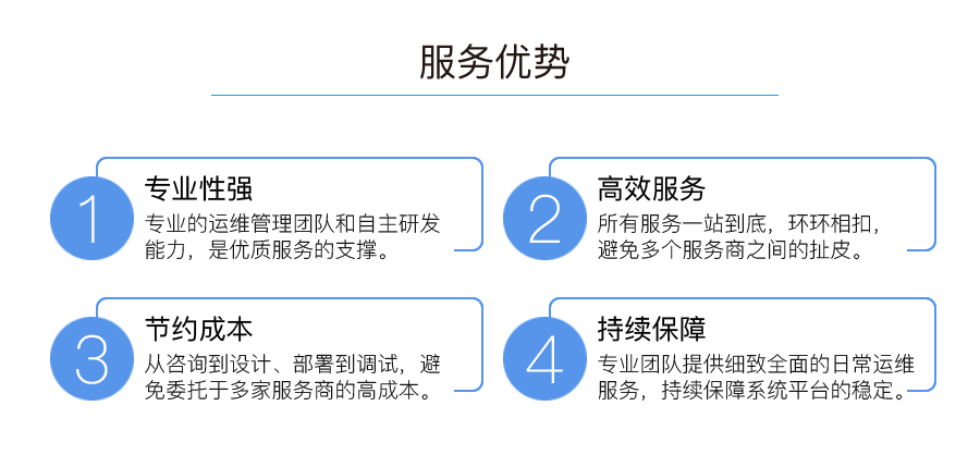 服务优势：专业性强、高效服务、节约成本、持续保障。